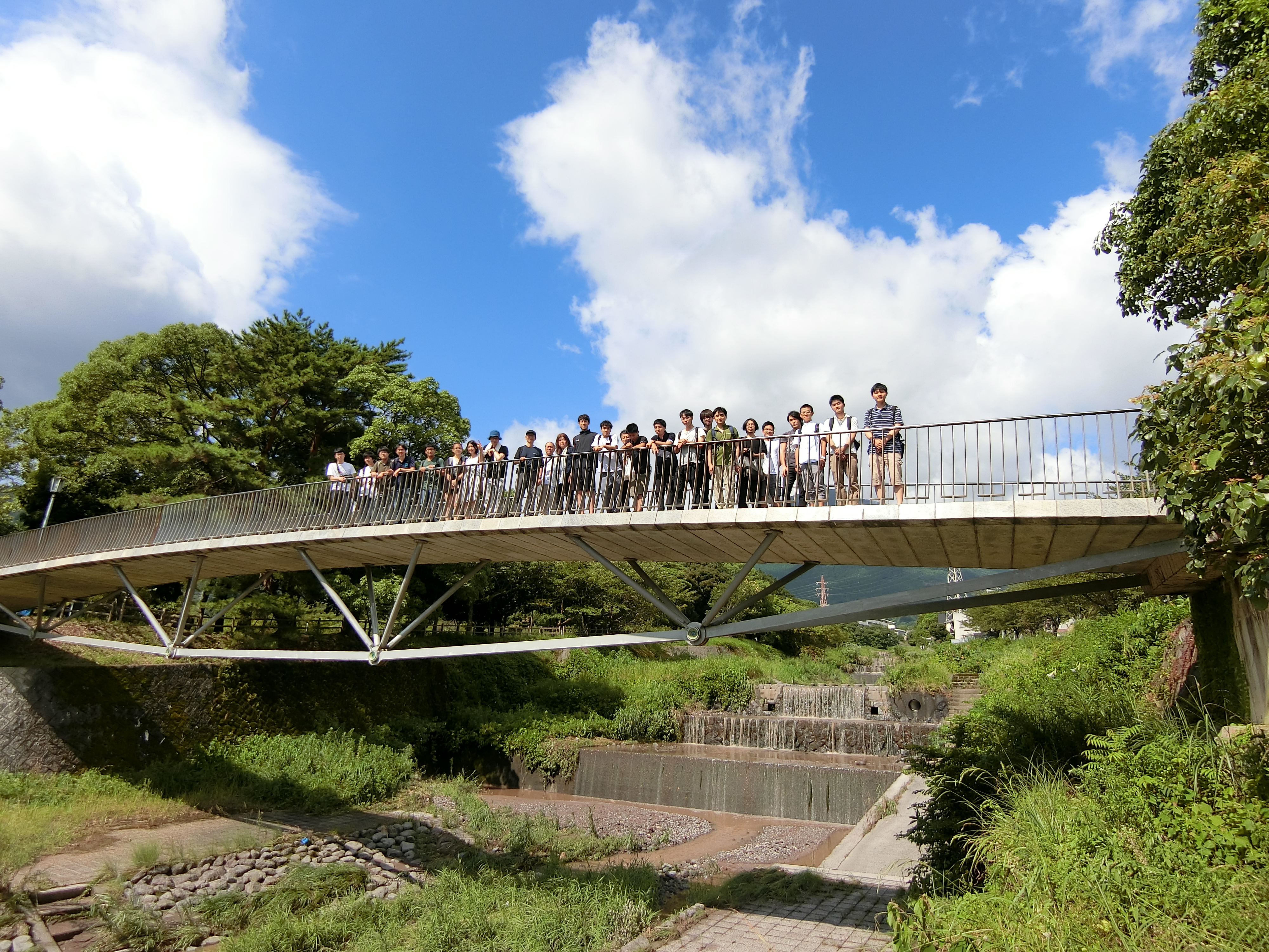 natsuzemi (15).jpg